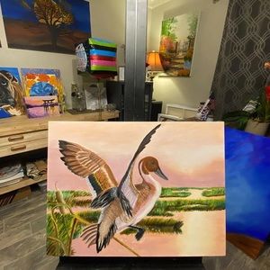 Pintail oil painting